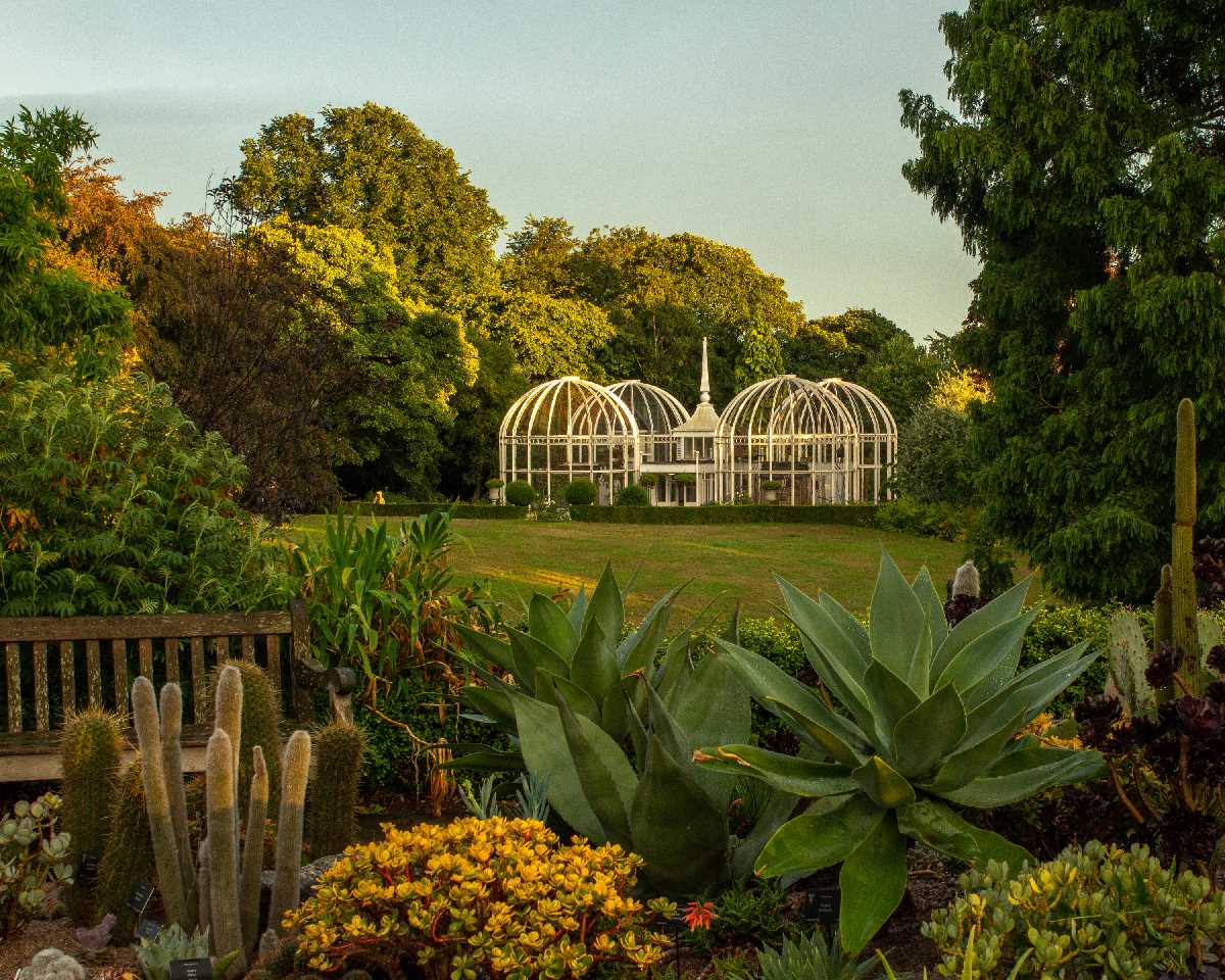 Birmingham Botanical Gardens. The aviary at sunset.